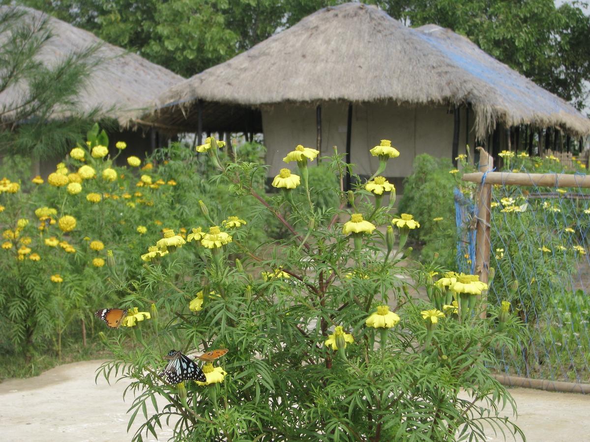 Estuarine Village Resort Sātabhāya Екстериор снимка